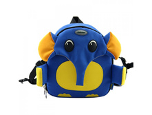 BOBEAR-HF-0120-blue_enl, 650�.jpg