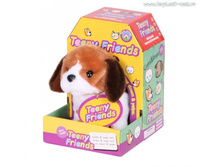 MIOSHI active ������� "����� �����"_Mac0601-105_����_491,83 ���.