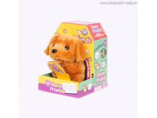 MIOSHI active ������� "����� ����� "_Mac0601-104_����_480,35 ���.