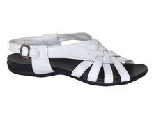 023 ����� �-�� 36-41