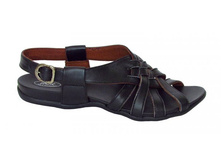 023 ������ �-�� 36-41