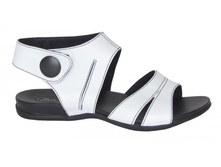 071 ����� �-�� 36-41