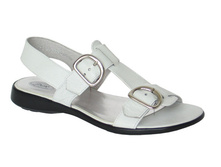 264 ����� �-�� 36-41