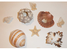 ����� ���� ������� �������_��� ���������)))