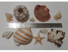 ����� ���� ������� �������_��� ���������)))