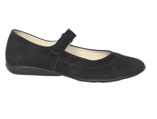 204 ������ ����� �-�� 36-41