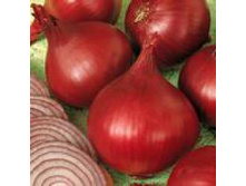 ��� ��� ����� 7,60 ���..jpg