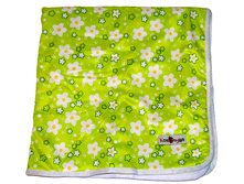 ������������ ��̣��� �������� �� ����