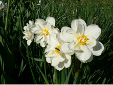 �������������� �������