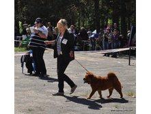 07-DSC_5339.JPG