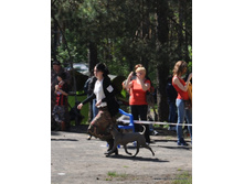 11-DSC_5351.JPG