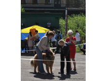 15-DSC_5366.JPG