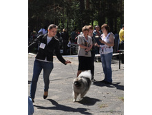 16-DSC_5369.JPG