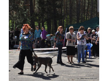 22-DSC_5386.JPG
