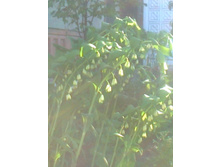 ����0531.jpg
