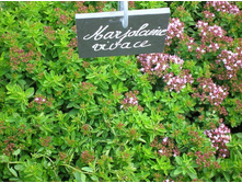 ������ 70 ���.jpg