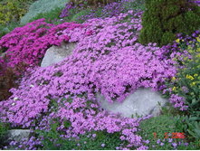 ���� ���������� 90 ��� ������� � ������� 10 ��