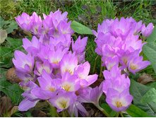 ��3��������� ���� 130 ���, � ������� 5 ��