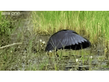 ������ - � � � ������!