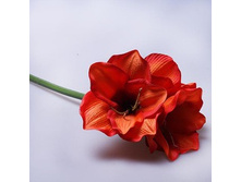 ��������� 18119-18 450�.jpg