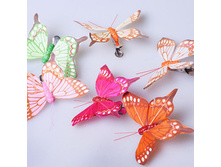 ������� 24�� HB-BE 914-1-6 325 �.jpg