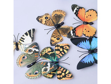 ������� �� ������� 6 ��. 120 �.jpg