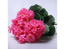 ������� 35 �� 592119  180�.jpg