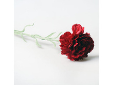 �������� ������� 62 �� �� 001700 75 �.jpg