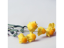 ������ �������� 20�.jpg