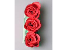 ������� ����� 11-02 62 �.JPG