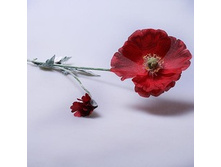 ��� ������������� 6-015  150 �.jpg