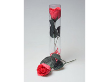 ������� ����� 14-02   54�.jpg