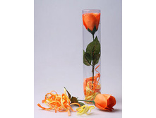 ������� ����� 14-03   54�.JPG