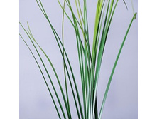 ����� ������� 130 �.jpg