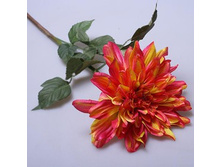 ���� �����-������� 481229 110�.jpg