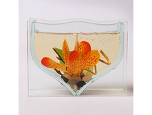 ���������� ������� 90249 350 �.jpg