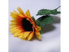 ��������� 6-164 150�.jpg