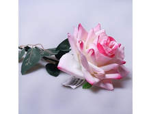 ���� ������� 60 �� 674559 80 �.jpg