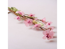 ��������� 5-068   100�.jpg