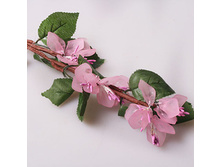 ��������� 5-084   75 �.jpg