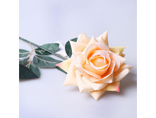 ������ ���� 60 �� 674557 80�.jpg