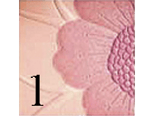 ������ ������� ���� ������������� 104,00