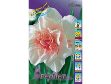 12,19���. ������� ������ (��� 10 ��. ���������� ������ 5��.).jpg