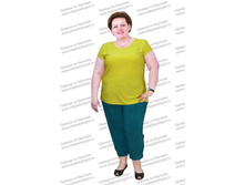 ������ ANF-037 (������)