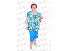 �������� ANF-061