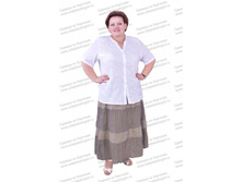 ���� ANF-073-2