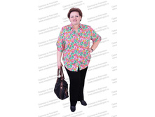 ������ ANF-080-2