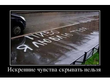 9753213_iskrennie-chuvstva-skryivat-nelzya-.jpg
