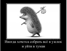 10359934_inogda-hochetsa-sobrat-vsyo-v-uzelok-i-upizdovat-v-tuman.jpg