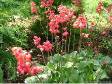 ������� ���� ������ 100 ���� ������� 10 ��